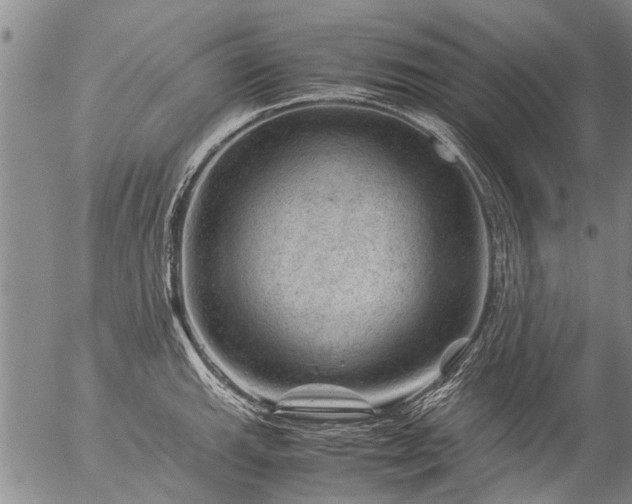 X0000057081143200509161557