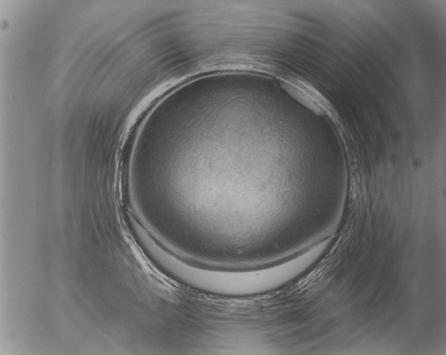 X0000057081144200509161557