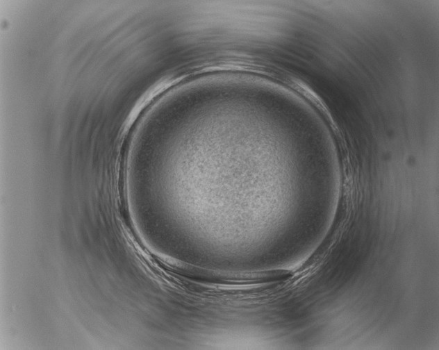 X0000057081146200509161557