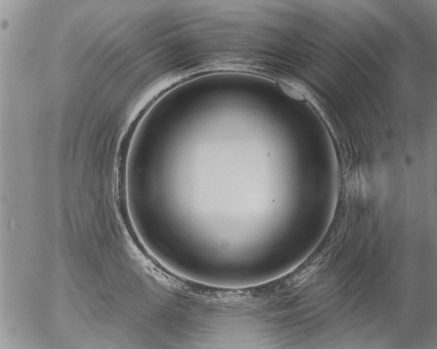 X0000057081147200509161557