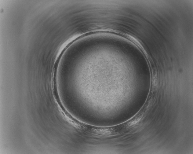 X0000057081149200509161557