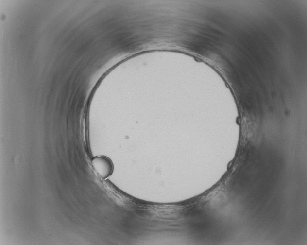 X0000057081150200509161557