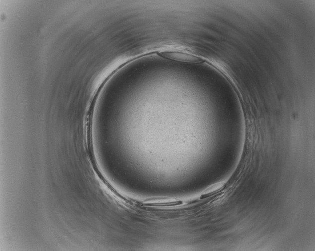 X0000057081151200509161557