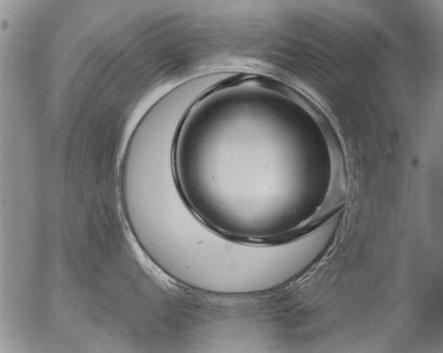 X0000057081152200509161557