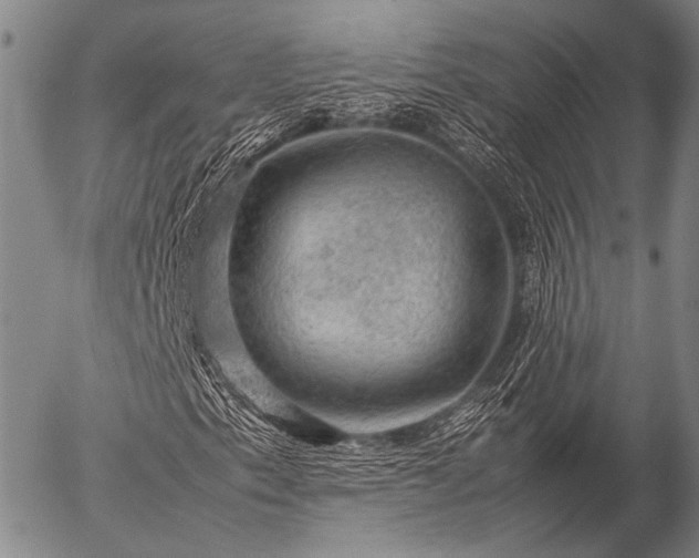 X0000057081153200509161557