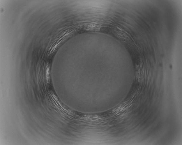 X0000057081154200509161557