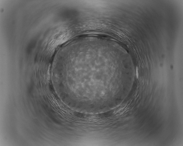 X0000057081155200509161557