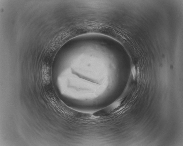 X0000057081156200509161557