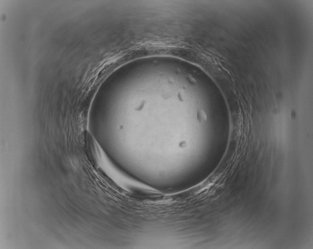 X0000057081157200509161557