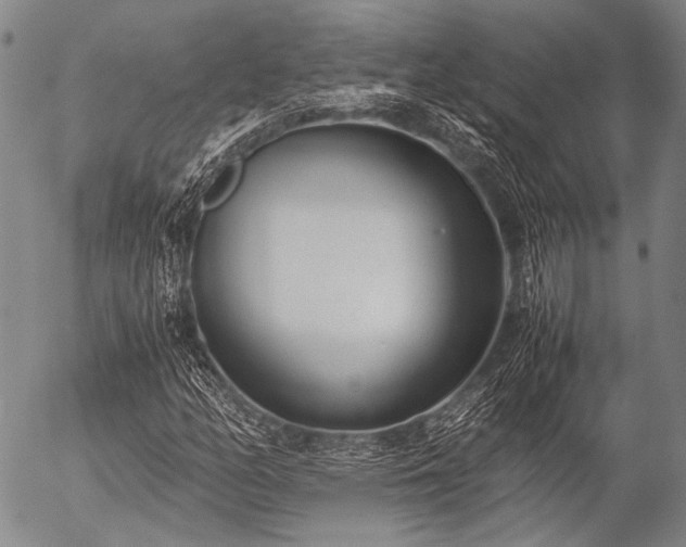 X0000057081158200509161557