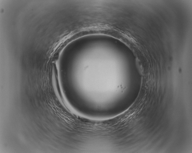 X0000057081160200509161557