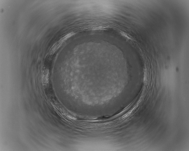 X0000057081161200509161557