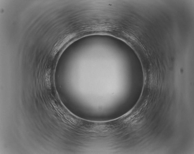 X0000057081162200509161557