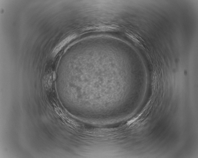 X0000057081163200509161557