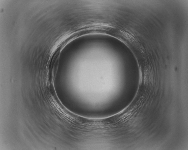 X0000057081164200509161557