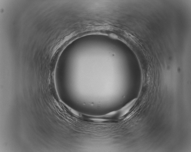 X0000057081165200509161557