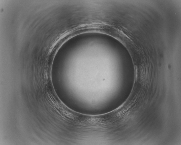 X0000057081166200509161556