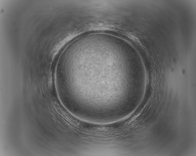 X0000057081167200509161556