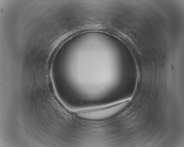 X0000057081168200509161556