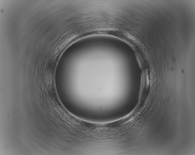 X0000057081169200509161556