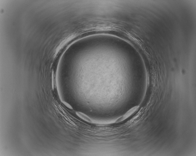 X0000057081171200509161556