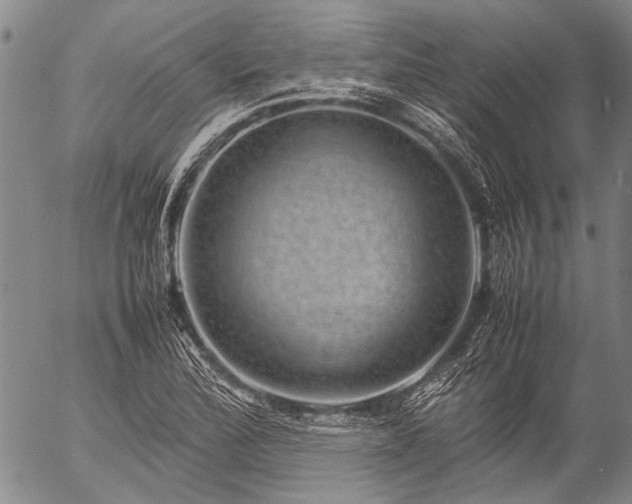 X0000057081172200509161556