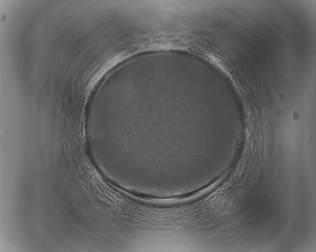 X0000057081173200509161556