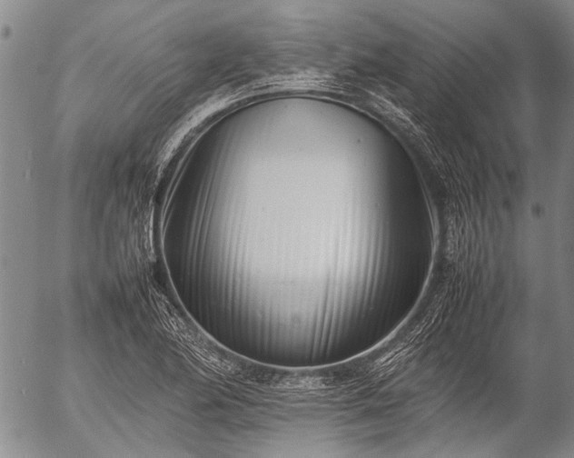 X0000057081174200509161556