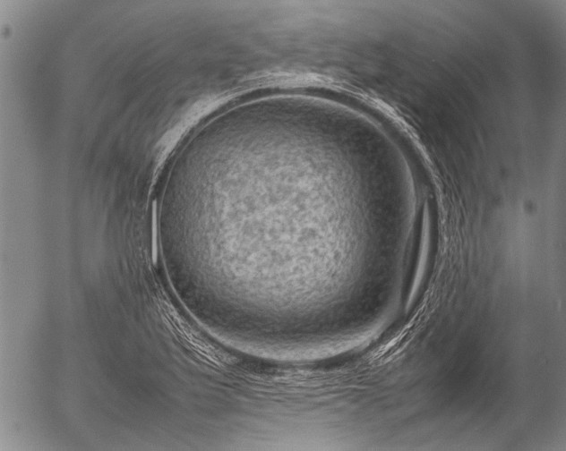 X0000057081175200509161556