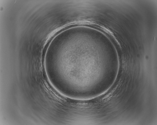 X0000057081176200509161556