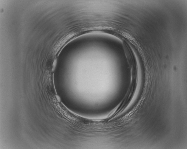 X0000057081177200509161556