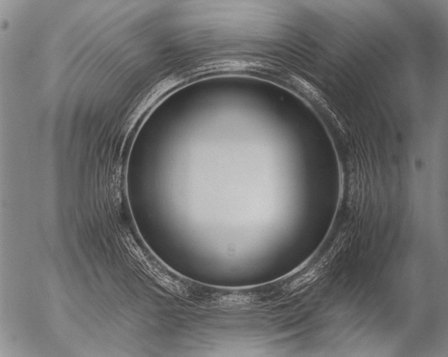 X0000057081178200509161556