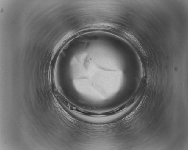 X0000057081180200509161556