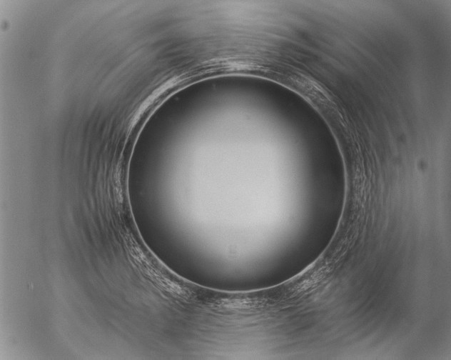 X0000057081182200509161556