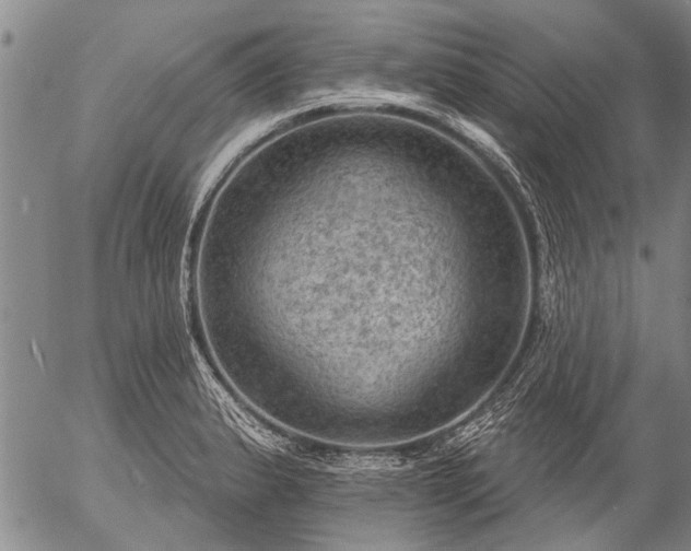 X0000057081183200509161556