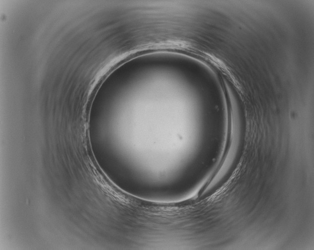 X0000057081184200509161556