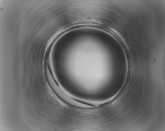 X0000057081188200509161556