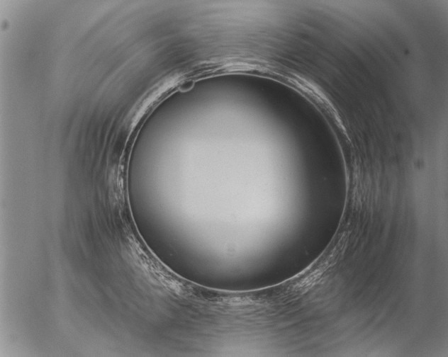 X0000057081190200509161556