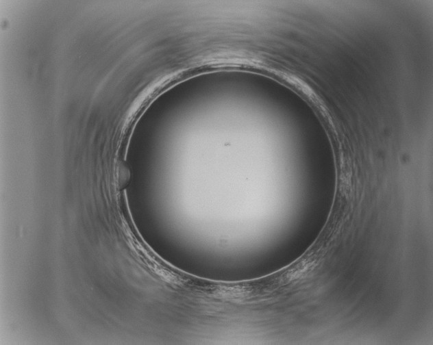 X0000057081191200509161556