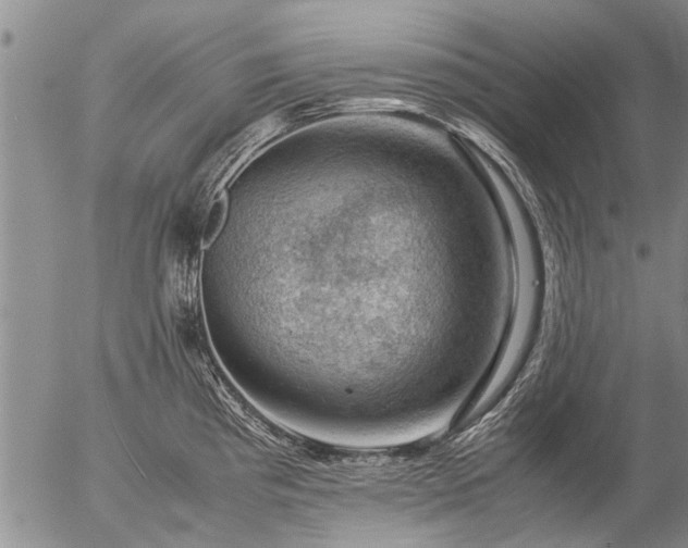 X0000057081193200509161556