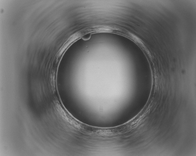 X0000057081194200509161556