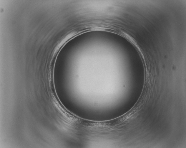 X0000057081195200509161556