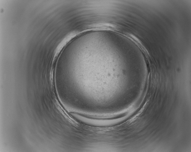 X0000057081196200509161556