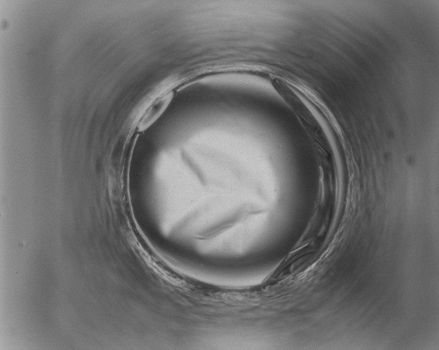 X0000057081197200509161556