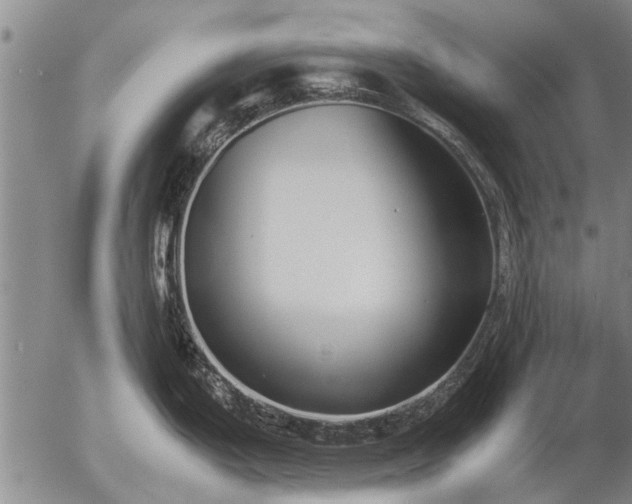 X0000057081199200509161556