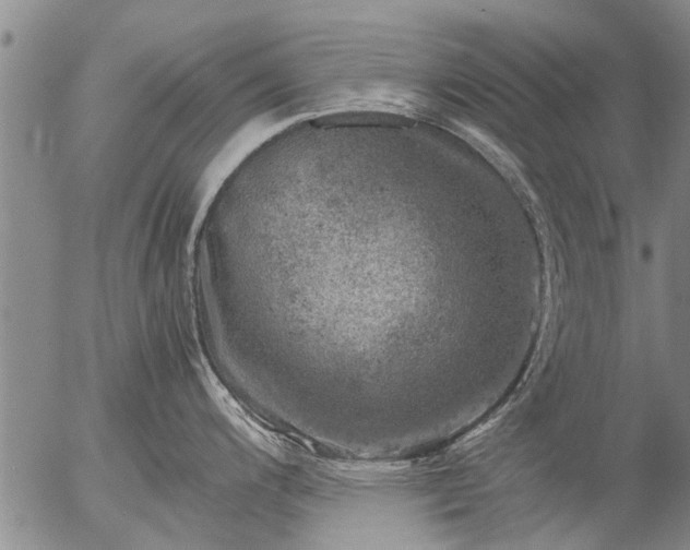 X0000057081200200509161556