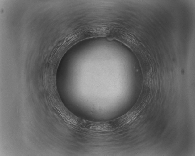 X0000057081201200509161555