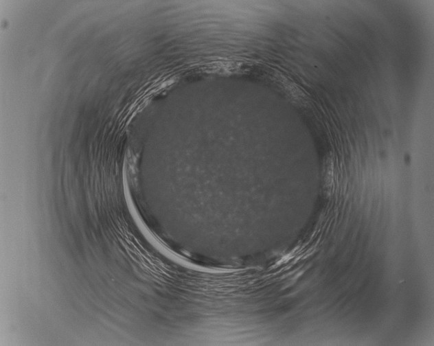 X0000057081202200509161555