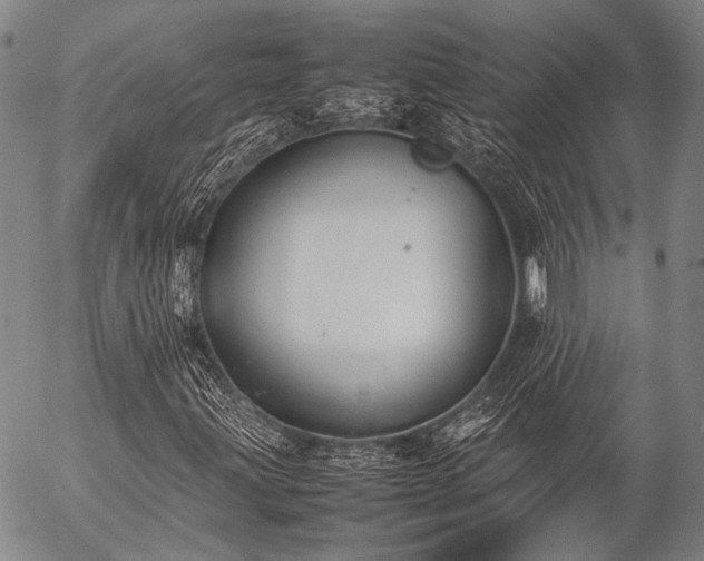 X0000057081203200509161555