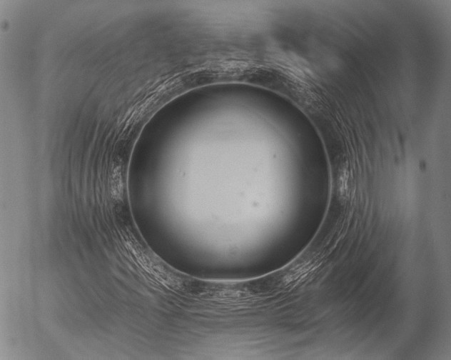 X0000057081204200509161555